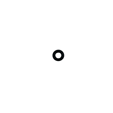 Oasis - Nozzle O-Ring - 14025